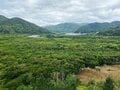 鹿児島県・奄美大島の「リアルジュラシックパーク・金作原原生林」と「マングローブ」絶景！「アマミノクロウサギ」ほか「世界自然遺産」を実感する旅の画像003