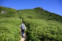【世界自然遺産・屋久島】九州最高峰の「宮之浦岳」へ！  日本最南端の高層湿原「花之江河」を抜け、洋上のアルプスに臨む