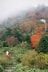 【富士山の次に登る山 vol.3】登山の魅力はムゲン大「複数の頂を踏む連峰」 四国アルプス・屋久島・信越トレイルの画像002