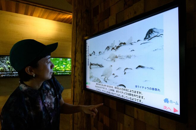 雨でも全然楽しい?!  栂池自然園の「MIKKETA！（ミッケタ）」は大人も十分楽しめる“自然体験プログラム”  自然園のお隣り！ 雲上の特等宿「栂池山荘」では自慢の“地の料理”を堪能！【中部山岳国立公園】の画像014