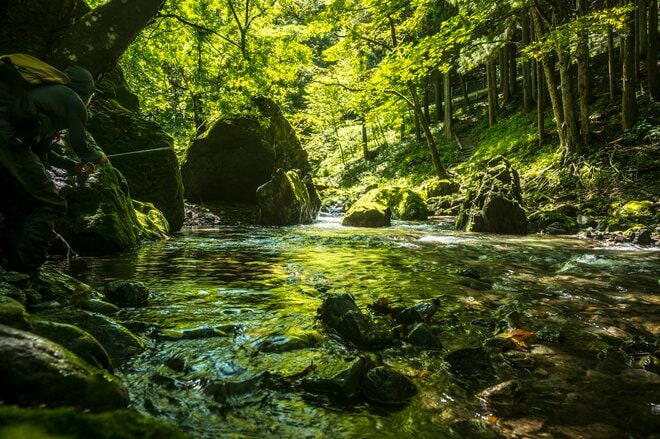 【渓流釣り】気がつけばシーズン終盤！  ゾーニングされた神流川の中ノ沢「毛ばり釣り専用区」と、キャッチ＆リリース区間でのイブニング　群馬県上野村｜2026年の画像005