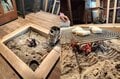 実体験に学ぶ「移住先の物件選び」は “ここ” がポイント【耕して、焙煎して、走る男　人口2,800人の村に移住してみました vol.4】の画像002
