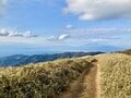 【冬こそ行きたい「伊豆の山」】稜線や断崖の絶景が楽しめる山5選！「天城山・達磨山・金冠山・高通山・烏帽子山」レポートの画像003
