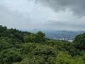 参拝というより「山登り」？  四国・香川県「こんぴら山」奥社までの「石段1368段」を現地在住ライターが踏破した結果の画像006