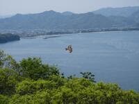 火口に入れる「日本最小の活火山」山口県・萩市の「笠山」！  維新の志士を生んだ町の「世界遺産」歴史スポットも魅力