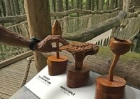 かつての軍事演習場が半世紀で”希少動物たちの住む森”に。五感と知を刺激するバリアフリートレイル「ドイツ・アイフェル国立公園」＜後編＞【キジ博士のナチュラリスト入門 vol.4】