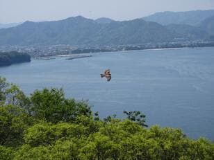 火口に入れる「日本最小の活火山」山口県・萩市の「笠山」！  維新の志士を生んだ町の「世界遺産」歴史スポットも魅力