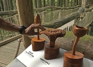 かつての軍事演習場が半世紀で”希少動物たちの住む森”に。五感と知を刺激するバリアフリートレイル「ドイツ・アイフェル国立公園」＜後編＞【キジ博士のナチュラリスト入門 vol.4】