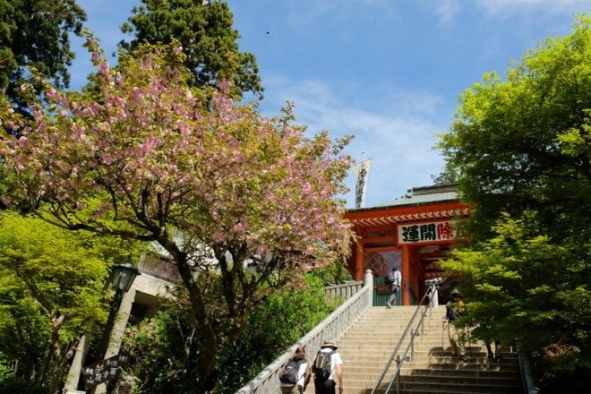 【新緑の高尾山は下山後もおもしろい】初心者向け「高尾山ハイキング」ガイドの画像013