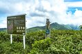 【最盛期】「緑の高原が一面の黄色いお花畑となる！ ニッコウキスゲの大群落」北東北・薬師岳／秋田・岩手 2022年の画像006