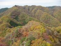 ナメてはいけない「秋の低山」登山! 冬眠前の「クマ」と「軽装&道迷い」身近でも実は「クセ山」の「落とし穴」!【実体験レポ】