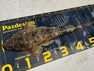 【シーズン到来！】大流行中の高級魚釣り！  釣果も出やすい「ボートマゴチ」超入門 「必要なタックルやルアー」とは？