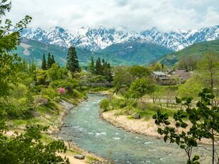 【渓流釣り】新緑美しい季節！ 春〜初夏の白馬・姫川上流水系を攻略するヒント「長野県・姫川」2022年