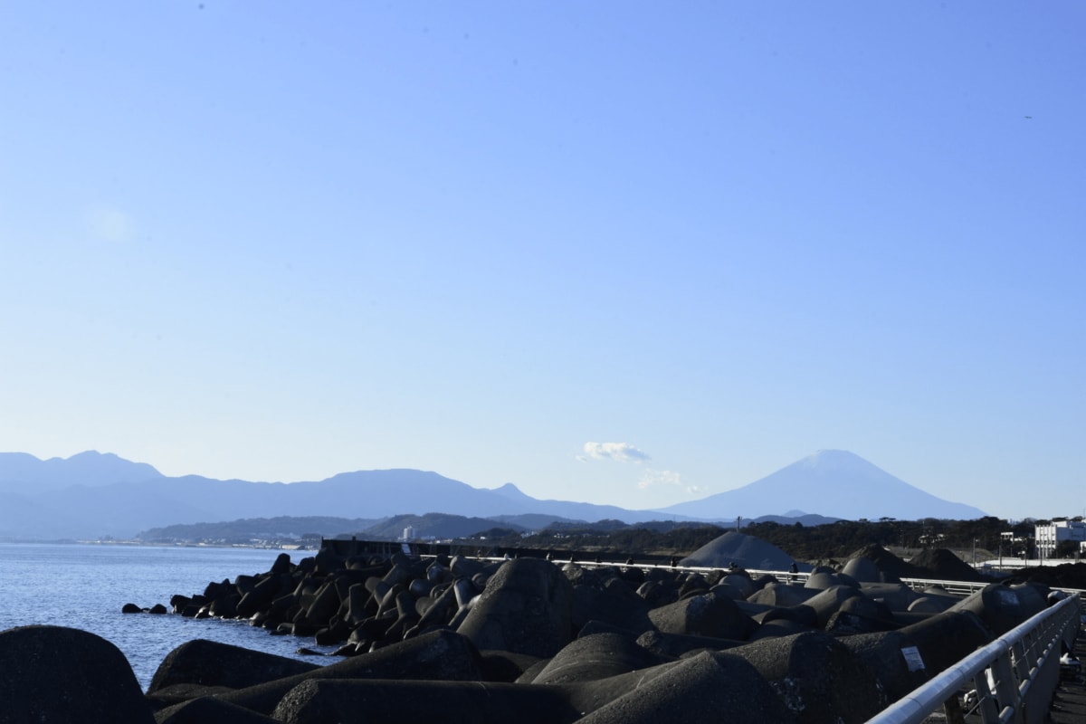 海釣りでの要注意「超危険」毒魚！「食べられるけど毒あり」2種と