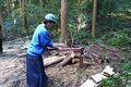 【滝つぼが水風呂！】徳島移住女性オーナーが建てた「森を再生させるDIYサウナ」での唯一無二「大自然サウナ」体験取材の画像014