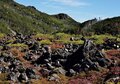 【富士山の次に登る山 vol.2】登山の魅力はムゲン大「美林を楽しむ山歩き」 上高地・甲武信岳・北八ヶ岳の画像009