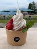 白馬きっての観光スポット『白馬岩岳マウンテンリゾート』 非日常空間で楽しむ「巨大ブランコに絶景ヨガ、山の音楽会に夏限定グルメ、ワンちゃんの避暑地にも」の画像010