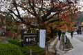 京都＆滋賀で紅葉登山といえば「比叡山」 市街地・琵琶湖を一望する「絶景ハイキング」ケーブルカー・ロープウェイ利用もOK「現地レポ」の画像001