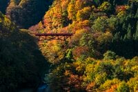 【松川渓谷】紅葉に彩られた赤い橋 “高井橋” から見る絶景！ 信州高山温泉郷・上信越国立公園 2022年