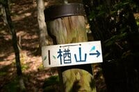 【1時間半で登れるのに見どころ満載】山梨の隠れ名低山「小楢山」紅葉の見頃はもうすぐ!