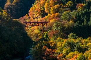 【松川渓谷】紅葉に彩られた赤い橋 “高井橋” から見る絶景！ 信州高山温泉郷・上信越国立公園 2022年