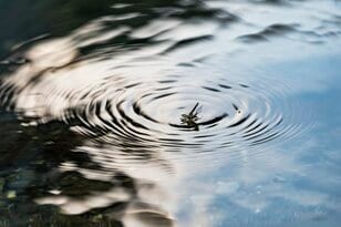 ベストシーズンがやってきた！ やっぱり楽しい桂川！ 釣りそっちのけでモンカゲに夢中 「フライフィッシングの醍醐味！？」 山梨県都留市・2023年 【渓流釣り】