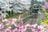 『渡良瀬川』桜咲く川辺にカゲロウ舞う季節！ 癒しのお花見フィッシング【渓流釣り】群馬県の画像003