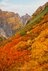 【一度は見たい秋山の絶景5選】山が最も華やぐ季節！  ハイカー女子が出会った紅葉の絨毯から黄金色の湿原まで、心奪われる錦秋の世界  2026年の画像003