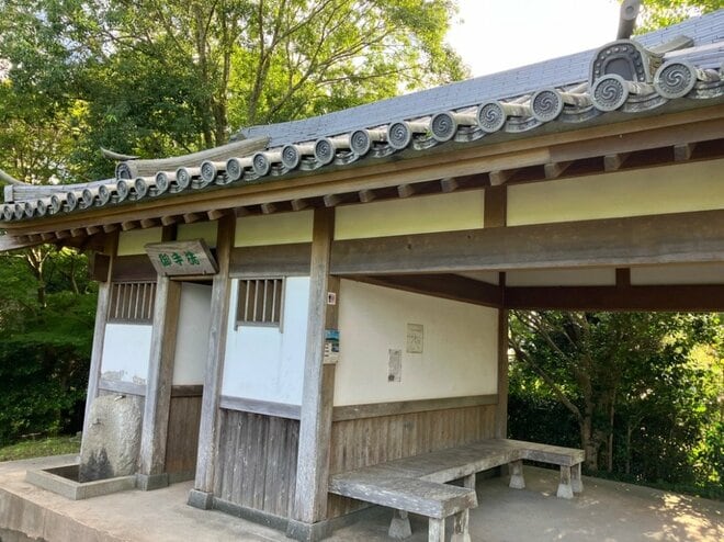 【首都圏近郊】1時間で登れるとは思えない絶景！  房総のマッターホルンこと「伊予ヶ岳」は今からのシーズンがおすすめの画像006