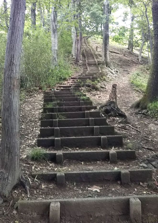 都内から気軽に行ける低山ハイク！  アウトドア初心者最適「埼玉・奥武蔵の鐘撞堂山と羅漢山」をめぐるの画像002