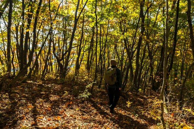 【紅葉登山】「山頂までわずか15分！」 雲海の名所“小熊山”で森歩き＆新雪眩しい北アルプスの山稜を望む“黒沢高原”へ  長野県大町市・2023年の画像004
