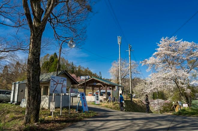 【最高のお花見スポット】信州の山里は花盛り！ 残雪の北アルプスに咲き誇る桜たち「写真映えしすぎる絶景スポットは今が旬！」“番所のベニシダレザクラ” と “立屋のエドヒガンザクラ” 長野県小川村・2022年の画像001