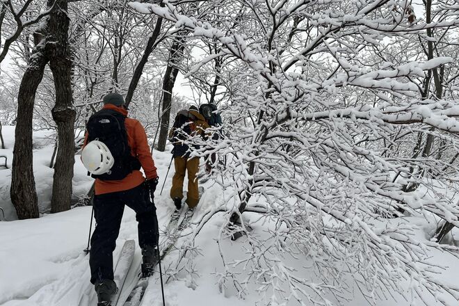 “おとぎの国”に迷い込んだような静かなブナの森を行く「のんびりバックカントリーツアー」 JAPOWを楽しむ！【長野県鍋倉山】2026年の画像004