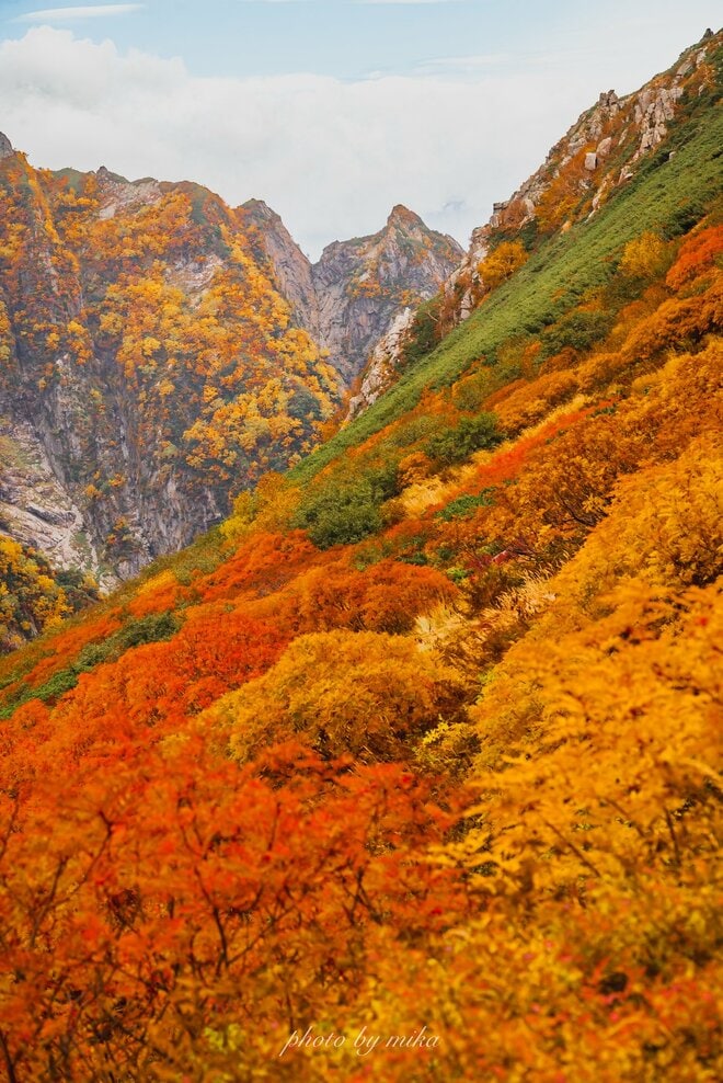 【一度は見たい秋山の絶景5選】山が最も華やぐ季節！  ハイカー女子が出会った紅葉の絨毯から黄金色の湿原まで、心奪われる錦秋の世界  2026年の画像003