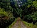 【不思議で怖い「山の体験談」】ほんの「登山者の挨拶」がまさかの「憑依＆慟哭」事態に発展！？ 月夜の林道「白襦袢の女性」との奇異な交流とは！の画像002