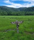 歴も技量もバラバラ！？  でも大丈夫！  ツアーバスで行く「楽ラク尾瀬散歩」は初めての山歩きに最適！！【双葉社 登山部 山行レポート vol.2】の画像006