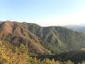ゴールデンウィークには「ツツジ」が彩る、丹波「向山連山」 ユニーク岩たどる低山縦走＆「黒井城跡」見下す絶景レポート【兵庫県丹波市】の画像026