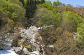 【山スキー】残雪に覆われたブナの森が芽吹きだす 「信越トレイルの名峰、鍋倉山の春を滑る」 長野県飯山市・関田山脈 2025年の画像002