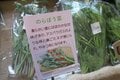 【長野県内外からたくさんの来訪者】人気の秘密は “今も息づく地域文化” を感じられるところ「道の駅 信州新町」「道の駅 中条」の画像019