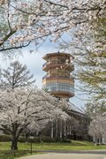 「“短かすぎる”けど絶景！」 見頃のお花見スポットをつなぐ、アルプス展望ハイキングルート【松本市】2025年の画像007