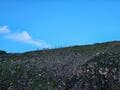 秋の山景色や高山植物を堪能する「立山・室堂」ゆったり1泊旅！  日帰りにはない充実感「散策路ハイキング＆夕温泉と朝の絶景」レポートの画像007