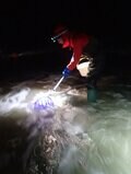 闇夜に光る春の味…「身投げ」ホタルイカすくいに挑戦！  ＜富山県＞の画像001