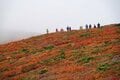 広がる色彩の海！  紅葉の絨毯が広がる東北の名山へ【栗駒山】の画像008
