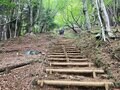 新東名高速道路「伊勢原大山IC～新秦野IC」開通！「驚異のアクセス短縮」でさらに近くなった丹沢で一番人気の「塔ノ岳」に登ろう！の画像001