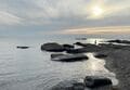 「待ち合わせは大潮満潮前の海水浴場」 命をつなぐダイナミックなフグの集団産卵を見た！ 2024年【神奈川県三浦半島】の画像010