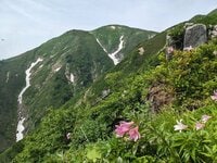 絶景の縦走路＆山頂パノラマ！ 百名山「大朝日岳」残雪「ゼブラ柄」と満開「ヒメサユリ」の彩り！ 1泊2日・東北「登山レポ」