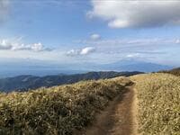 「2つの日本一」を見る登山！  冬晴れの日は「360度絶景」 西伊豆「達磨山」レポ！ 「富士山＆駿河湾」展望ハイキング