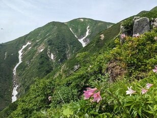 絶景の縦走路＆山頂パノラマ！ 百名山「大朝日岳」残雪「ゼブラ柄」と満開「ヒメサユリ」の彩り！ 1泊2日・東北「登山レポ」