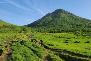 旅行中に見かけて一目惚れ！ 新緑が美しい「5月の由布岳」分岐から選べる双耳峰「西峰・東峰」ルートを歩いてみた！「登山レポ」