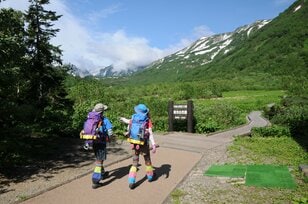 【栂池高原】北アルプス中部山岳国立公園「栂池自然園」と「白馬つがいけWOW！」で、アウトドアアクティビティをダブルで満喫